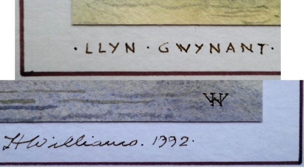 20170527 H WILLIAMS - LLYN GWYNANT 002